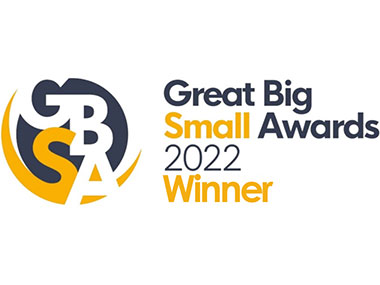 Great Big Small Awards Winner Logo