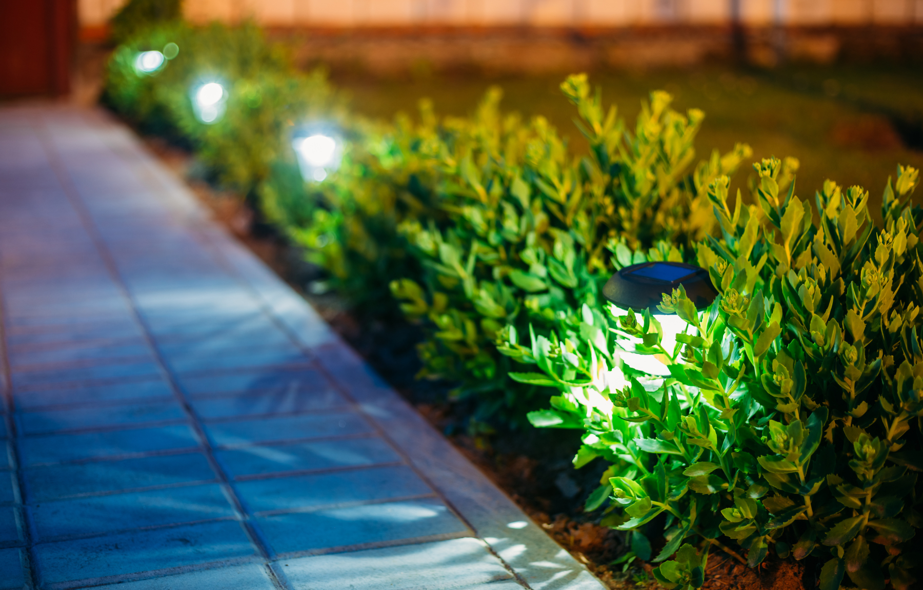 Garden Lighting