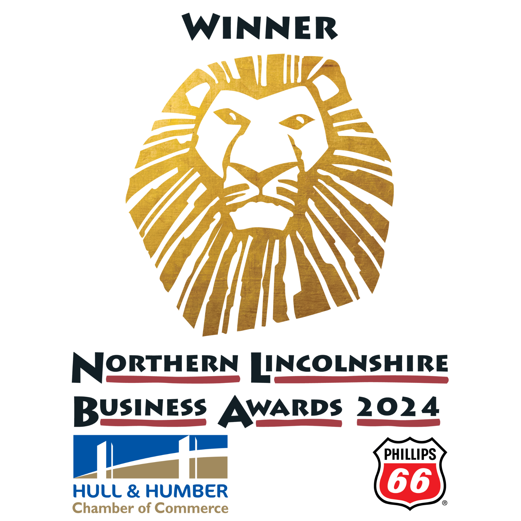 Northern Lincolnshire Business Awards Logo